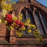 church and rowan tree